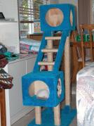 kittens - 071007 21